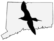Connecticut Ornithological Association