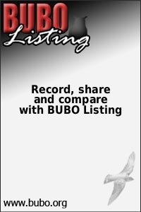 BUBO Listing www.bubo.org