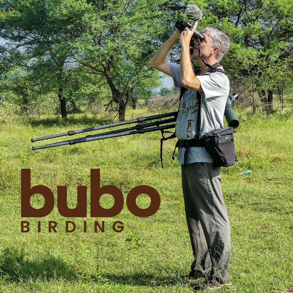 Bubo Birding