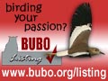 BUBO Listing