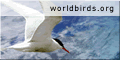 worldbirds